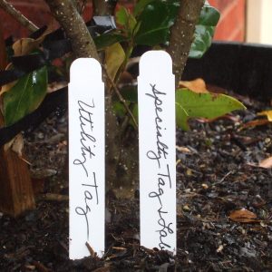 Etiqueta Pincho Pack 100 unidades (Color Blanco)